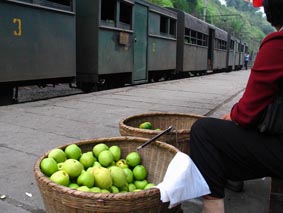 Hou Yimin's Images